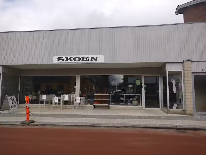 Skoen